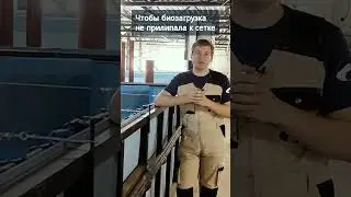 Чтобы биозагрузка не прилипала к сетке #система #узв #рыбы #сетка