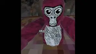 Gorilla tag teaching a new player to play
