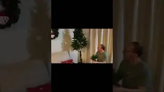 Cat VS Christmas Tree! | Funny Cat Video
