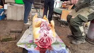 забой свиньи 18 декабря