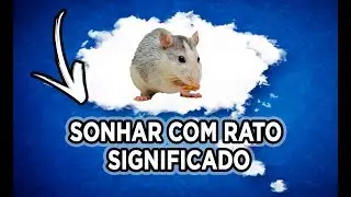 SONHAR COM RATO SIGNIFICADO