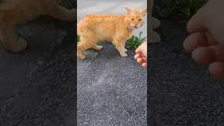 как мне всех жалко? 😭