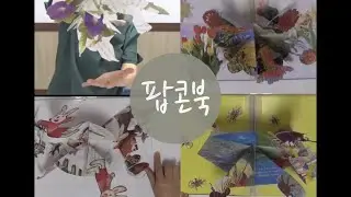 팝업북이란?/팝콘북종류
