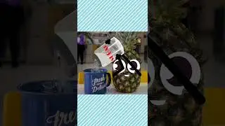 OMG DOODLES Video for fun 