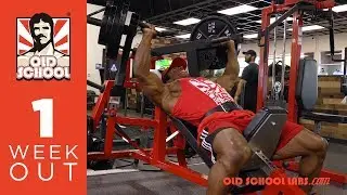 Breon Ansley's Road to 2017 Mr. Olympia Classic Physique - Ep 4