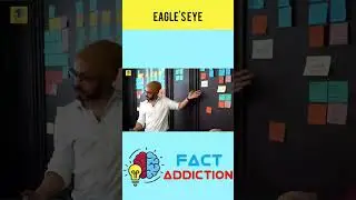 EAGLE'S EYE FACT YOU DIDN'T KNOW
