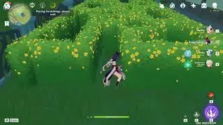 So I made a small hedge maze in Genshin but I realized it was useless