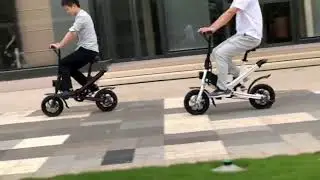 2 wheel Foldable electric scooter ebike