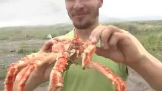 Как правильно есть краба и разделывать корюшку