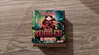 Combiné kung fu Ardi