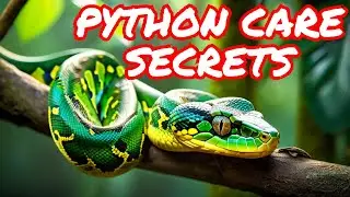 Green Tree Python Care Guide 2024 | Part 1