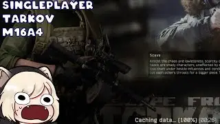 Singleplayer Tarkov - The Doohicky M16A4