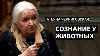 Сознание у животных. Татьяна Черниговская