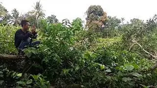 [PARODY] Goyang Lagu Wik Wik... (Part 1)