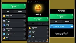Hamster Kombat Airdrop isn't Far Anymore (I Explained Hamster Airdrop Requirements)