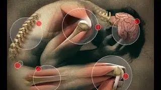 Why do my feet and knees hurt?\Doctor
