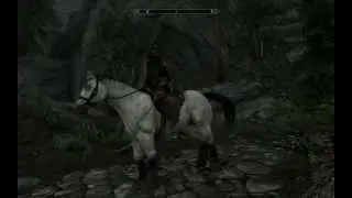 Skyrim - Phoenix Aura Effect