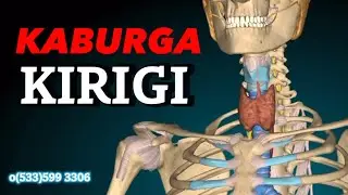 Kaburga Kırığı Olduğunda Ne Yapmalı?