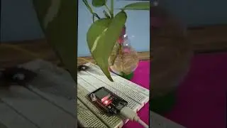 esp32 Micropython hall_effect_sensor tutorial 