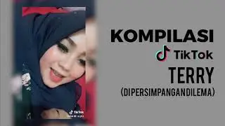 Terry - Di Persimpangan Dilema | Kompilasi TikTok