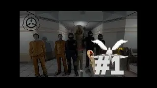5 mal 1 scp vakfı
