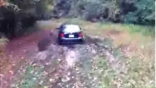 Stuck In Mud!!!