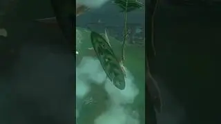 Korok! 