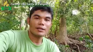 Sarifa Farm: Day 17-Fencing Part-2
