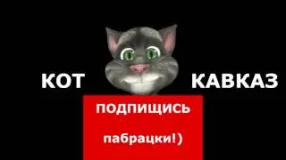 Кот Кавказ   Три в одном 7