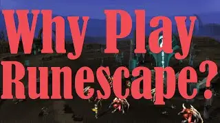 Runescape - Why do I play Runescape?