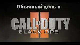 Обычный день в Call of Duty: Black Ops 1&2 #1