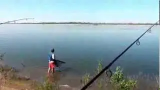 поймать сазана