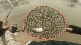 Ловля форели на спиннинг в ноябрьский мороз.Рыбалка на безлимите в ДУРЫКИНО