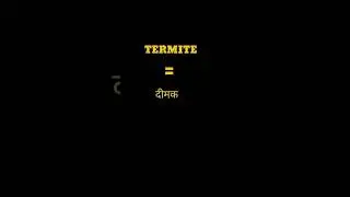 English Word Hindi Meanings | The Word Is Termite |अंग्रेजी शब्द हिन्दी में अर्थ। शब्द है टरमाइट