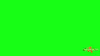 All 4 Nickelodeon Screenbugs From 2023 (in greenscreen)