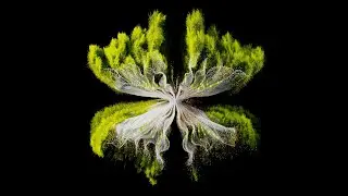Rebūke - Along Came Polly (Konstantin Sibold, ZAC & CARMEE Remix)