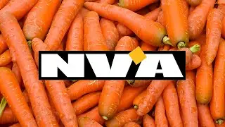N-VA | Kiesadvies
