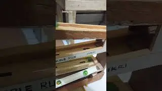 permainan kelereng seruh, marble game, marble run, #marblesrun #marblegame #marblerunrace #kelereng