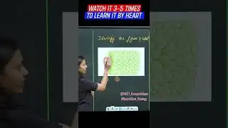 Diagrams Of TOBACCO MOSAIC VIRUS | With QuickShot Biology | 