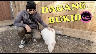 Sa Bukid (Kangaroo Creek Farm | Kelowna)