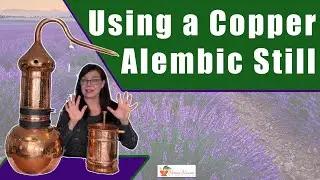 Distilling Dried Lavender in a Copper Alembic Still