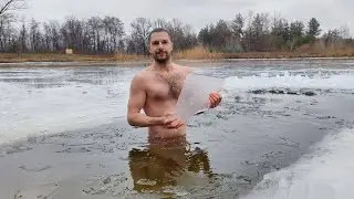 Сексуальные Моржи.I'm sexy and I know it.