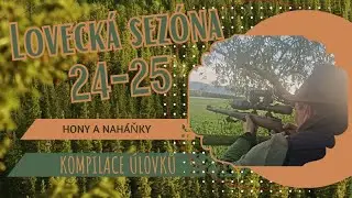 Hunting season 24-25 - all driven hunts shots - deer hunting and hare hunting