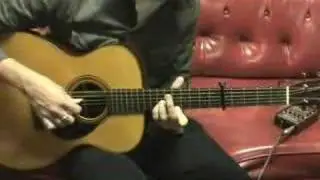 FPE-TV Acoustic Guitar Shane Alexander  LR Baggs