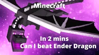 CAN I BEAT ENDER DRAGON IN 2 MINUTES?