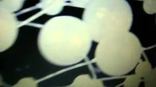 MOV06463