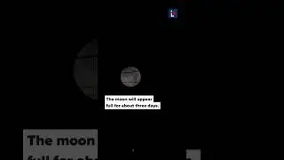 The first full moon of 2025: The Wolf Moon!