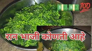 Aaj Bhokrichi Bhaji Banavli // ✅भोकरी ची भाजी बनवली 💙