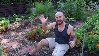 Vegetable Garden Tour Vlog / Colorful Gardener