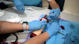 The Apprentice Doctor® STB Workshop